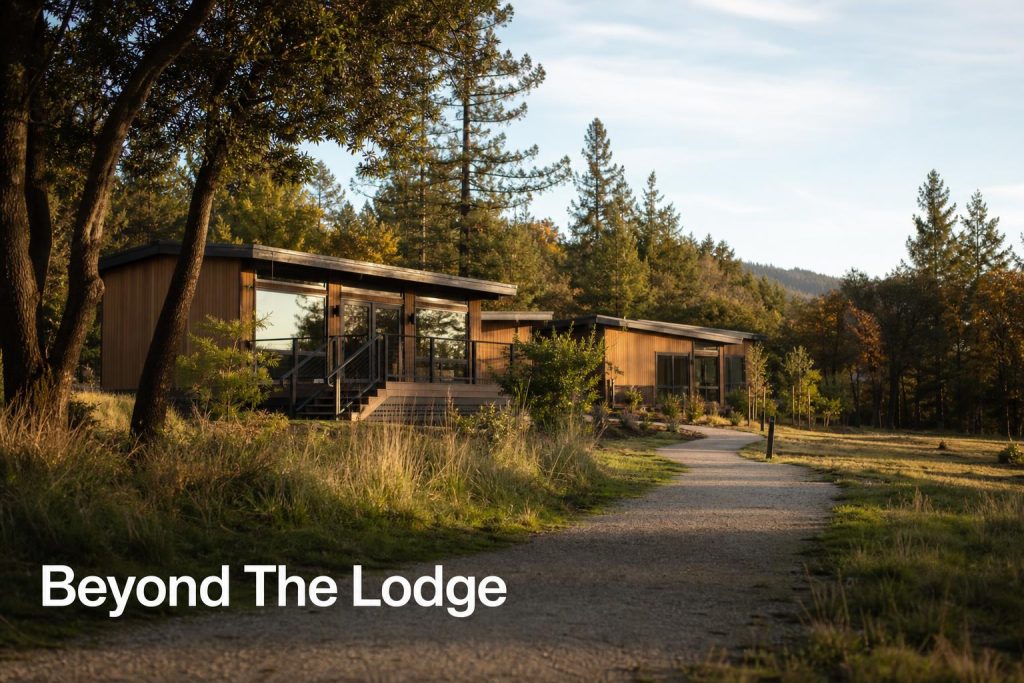 Lazy Otter Meadows: Lodge Park Location, Lifestyle, Availability And Local Area Guide